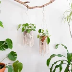 macrame-plant-hangers