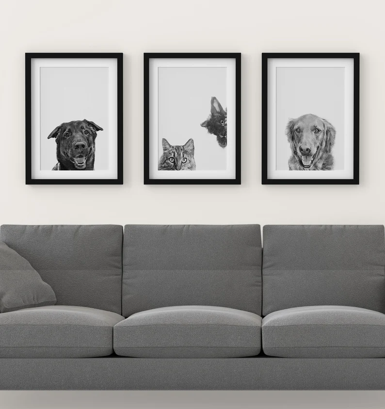 black-and-white-pet-portraits